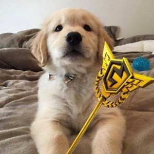 ryn_fv - Twitch