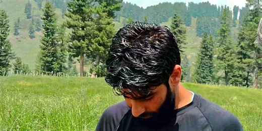 Timothy is a cool-season perennial grass with high persistency and cold tolerance and rarely suffer frost damage. Tall Fescue, a cool-season perennial grass that thrives in various climates and conditions# Director officer #wakeel wilderness #Geography. | Wakeel Wilderness