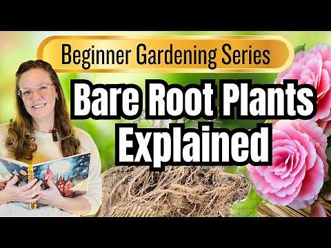 ☀️🌻 Bare Root Plants Explained | Beginner Gardening Series Video #10