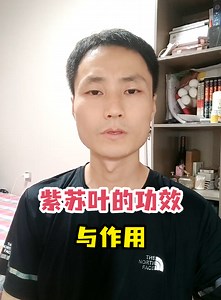 紫苏叶的功效与作用-有来医生