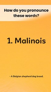 486K views · 4.1K reactions | 3/3, How many words have you pronounce properly? Watch 'til the end. Learn and practice pronouncing these words properly #viralpage2025 #reelsfb #reelsviral #learnwithAJ #examreviewer #learning #love #reels #English #fb #fbreels #reelrepost #repost #onlinebusiness #onlineearning #onlinetraining #contentcreator #ContentMonetization don't forget to react, comment, share and follow us for more word pronunciation challenges. | Learn With Aj | Facebook