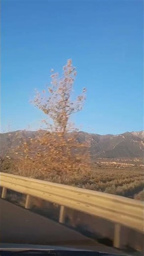 Elvis Presley, A little less conversation remix, Hatay, Sarıbay