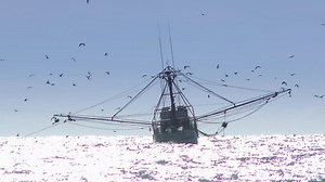 Commercial Fishing Boat On Horizon Distance Stock Footage Video (100% Royalty-free) 5203040 | Shutterstock