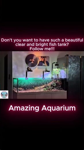 Lighting Guide for Planted Aquariums . Light reflecting on the water