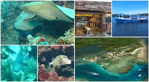 Adventure Outfitters Diving and Snorkeling Trip to Roatan