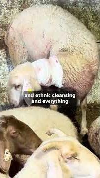 Shocking Footage: Baby Paper-Sprayed again by.. that’s their daily life…