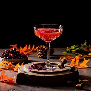 Vodka Blood Orange Cranberry Martini - Bloody Rose Martini