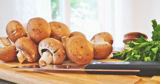 How to Tell When Mushrooms Are Bad: 5 Telltale Signs