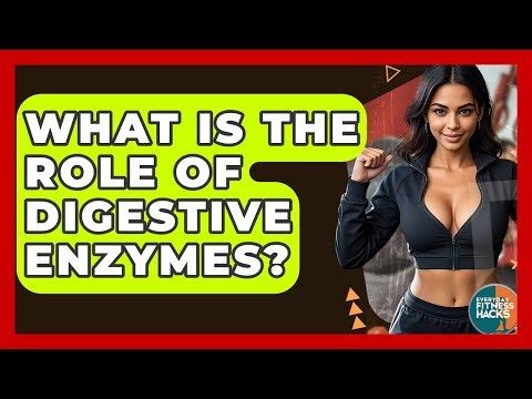 What Is The Role Of Digestive Enzymes? - Everyday Fitness Hacks