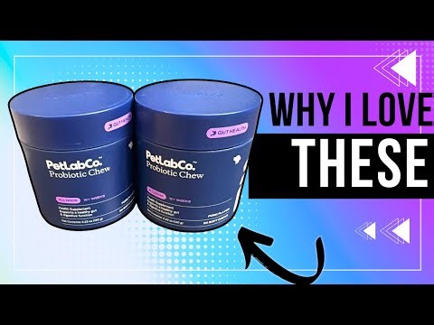 Review of these PetLab Co. Probiotics for Dogs
