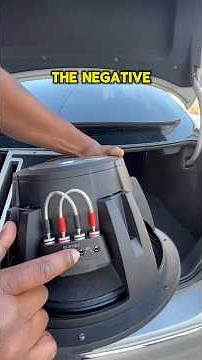 How to wire a subwoofer in a box Wiring an Alpine type R. Check it out. Dual 4 ohms #caraudio