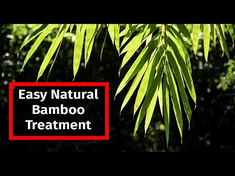 The Secret to Long-Lasting Bamboo: Treating Bamboo with Borax and Boric Acid