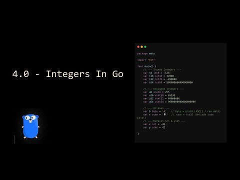 Integer Data Types in Go (Golang) | Signed vs Unsigned Explained