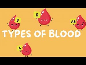 ATI TEAS 7 I BLOOD- Complete Cardiovascular Review PART 4