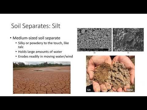 Soil Texture