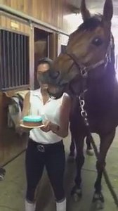 This video will brighten your day! This horse was so happy blowing out his birthday candles. | Hyderabad Polo and Riding Club