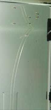 Microscopic Aquatic Life: Larvae in Lab Observation