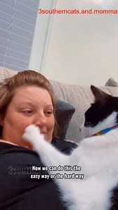 I think she put her paw down_R_001 #3southern #kristicates #fblifestyle | Jasmine And Dapper