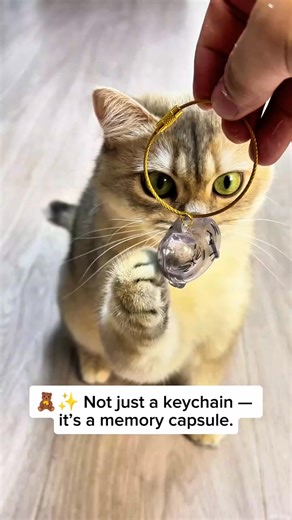 Not just a keychain its a memory capsule | ThoughtPulse | Facebook