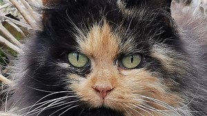 Binance futures for beginners - technical manual.