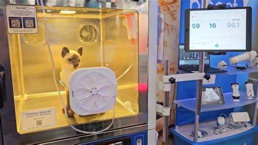 Veterinary ICU Transformation with Smart Air and Wireless Monitoring | Bionet America Animal Health posted on the topic | LinkedIn