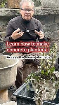 #shorts learn the tricks and tips to make concrete planters using various containers.