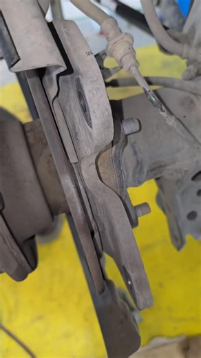 rear axle bearing and seal the | Wendy Mathews