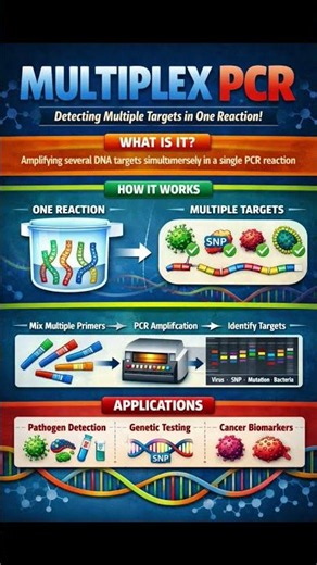 Multiplex PCR #biologybasics #sciencemadesimple #molecularbiology #biotechbasics #biotechnology