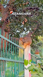 ❤️‍🩹Azamgarh . . . . #azamgarh #azamgarhcity #azamgarhblog #up50 #exploreazamgarh | Azamgarh Blogs