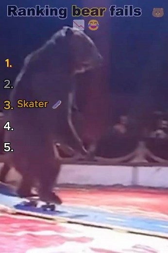Ranking bear fails 🐻📉😂