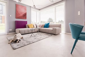 5 Pet-Friendly Airbnbs Perfect For Pooches & Humans!