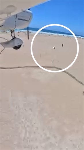 Plane makes emergency landing on crowded tourist beach