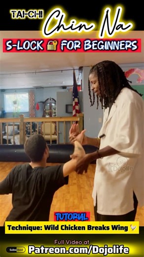 Dojolife LLC on Instagram: "S-Lock Tutorial #dojolife We can it “Wild Chicken breaks Wing” in Chin Na ☯️"