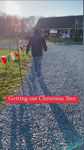 4.4K views · 139 reactions | Jack-Jack gets a Christmas Tree. #autisticteen #homeschoolautism #youngstownohio #christmastreefarm #autismacceptance #autismfamily #autismlife | A Mothers Random Thoughts on Disney Homeschooling Autism | Facebook