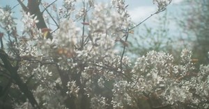 A Wilder View: Spring offers everything newborn wildlife needs