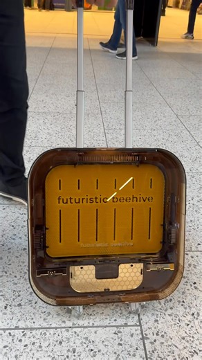 I just secured my futuristic beehive 🐝🚀 Would you secure yours? 👀 Pre-orders are NOW open — and the waiting list is already buzzing. Contact us today and claim your spot. ⏳🍯 - - - #jarhoney #nature #bees #beekeeping #beekeeper #honey #viral #honeylovers #lebanesehoney #johnyabourjeily #beebeard #kingofqueens #kingofhoney #kingofbees #savethebees #bestbeekeeper #bestbeekeeperintheworld #apimondia2025 #apimondia | JAR Honey