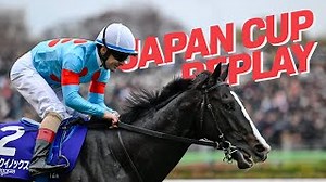 What A Champion! The World's Best Horse Equinox Wins The 2023 Japan Cup!
