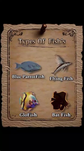 Types Of Fish's 😱😱😱#Foryou #Foryoupage #unfreezmyaccount #DiscoverWorld🌍