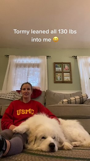 Training Your Great Pyrenees: Tips and Strategies