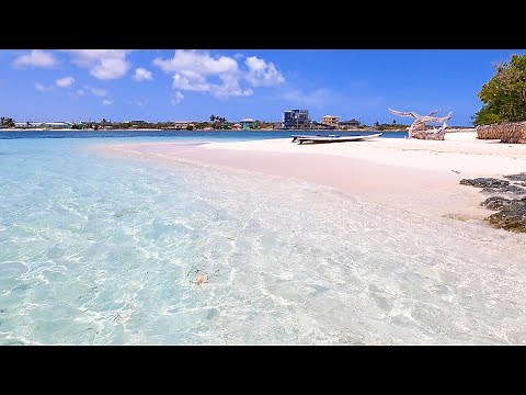Beautiful Beach: 3 Hours of Blue Water Bliss (4K Tropical Video)