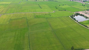 10K views · 84 reactions | (English below)...