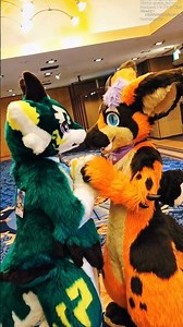 With 丹波Dumbo! 【Kemono Fursuit】