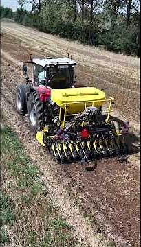 Trzy traktory Massey Ferguson na polu #traktor