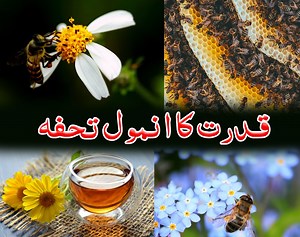 441K views · 47K reactions | ایک ایسی نعمت ؛ جس کی کوئی expiry date نہیں ہے ۔۔ کھانوں میں سائنس کی سب سے زیادہ تحقیق اس پہ ہے ۔۔ ایسی چونکا دینے والی معلومات، جو پہلے آپ نے نہیں سنیں ۔۔۔ | Soban Attari | Facebook