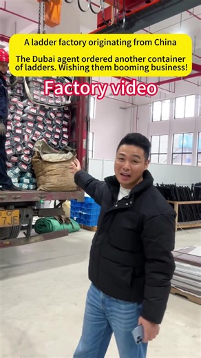 Competitive Ladder Customization for Dubai Customers