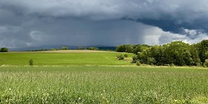 Gov. Scott vetoes Act 250 reform, data privacy bills