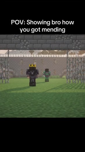 1.5K views · 22 reactions | Mending is a necessity #minecraft #minecraftmemes #gaming | Mine Master | Facebook