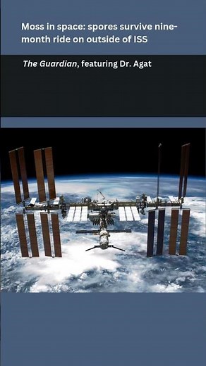 SETI Institute in the News: Our scientists spoke with the press about #comet3iatlas and #spacemoss.