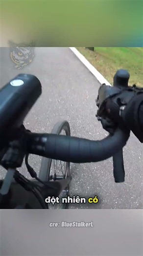 Sự Cố Cùng Người Bạn Đặc Biệt Ở Công Viên 😆 #drama #haihuoc #khoảnhkhắc