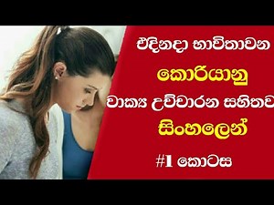 Learn korean language in sinhala - korean conversation part 1 sinhalen-sl santa ✔️